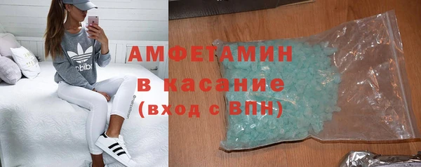 индика Володарск