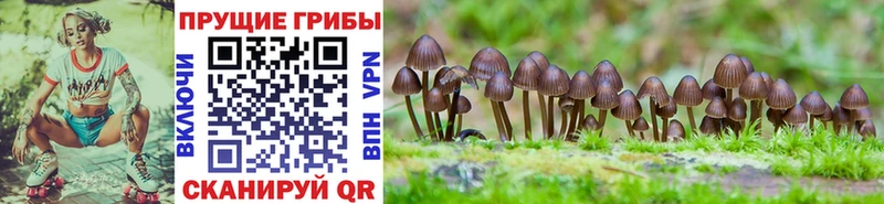 Купить где  Сосногорск  Псилоцибиновые грибы ЛСД 